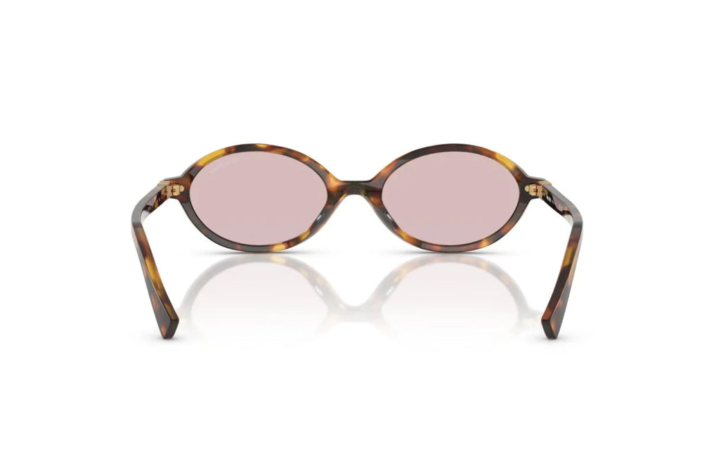 Lentes Miu Miu 04z - 14l-4i0